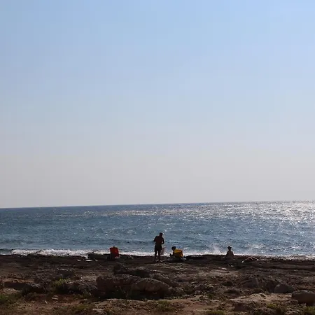 Campure *